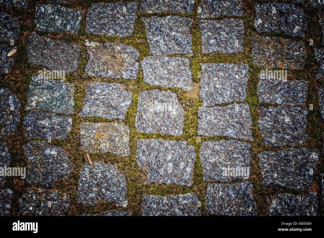 Abstract background of old cobblestone pavement texture with natural ...