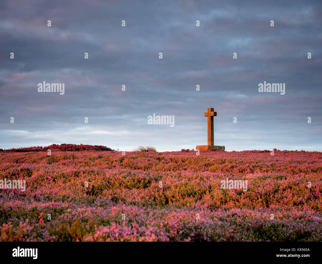 Sunrise across the heather moorland at Anna Cross in the North Yorkshire Moors. Stock Photo
