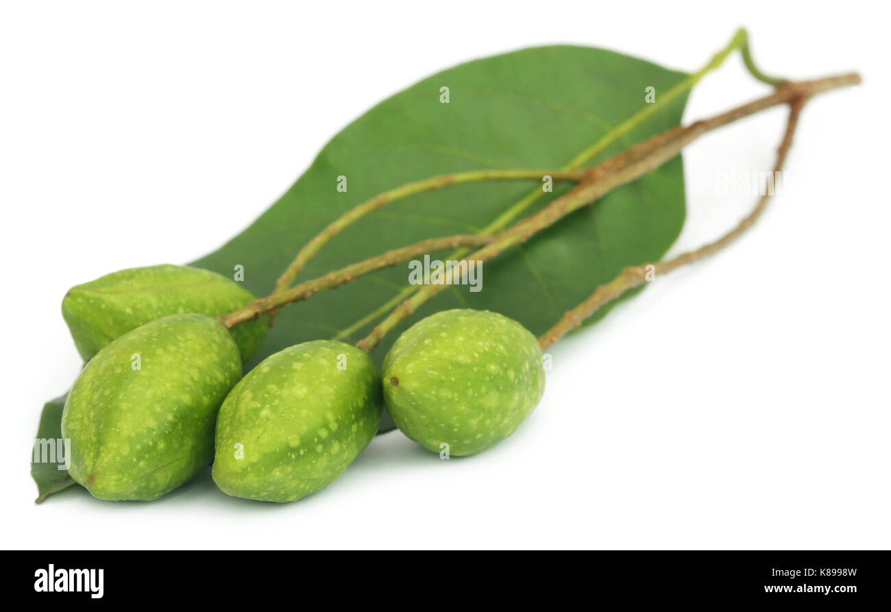 Fresh green medicinal haritaki fruits over white background Stock Photo