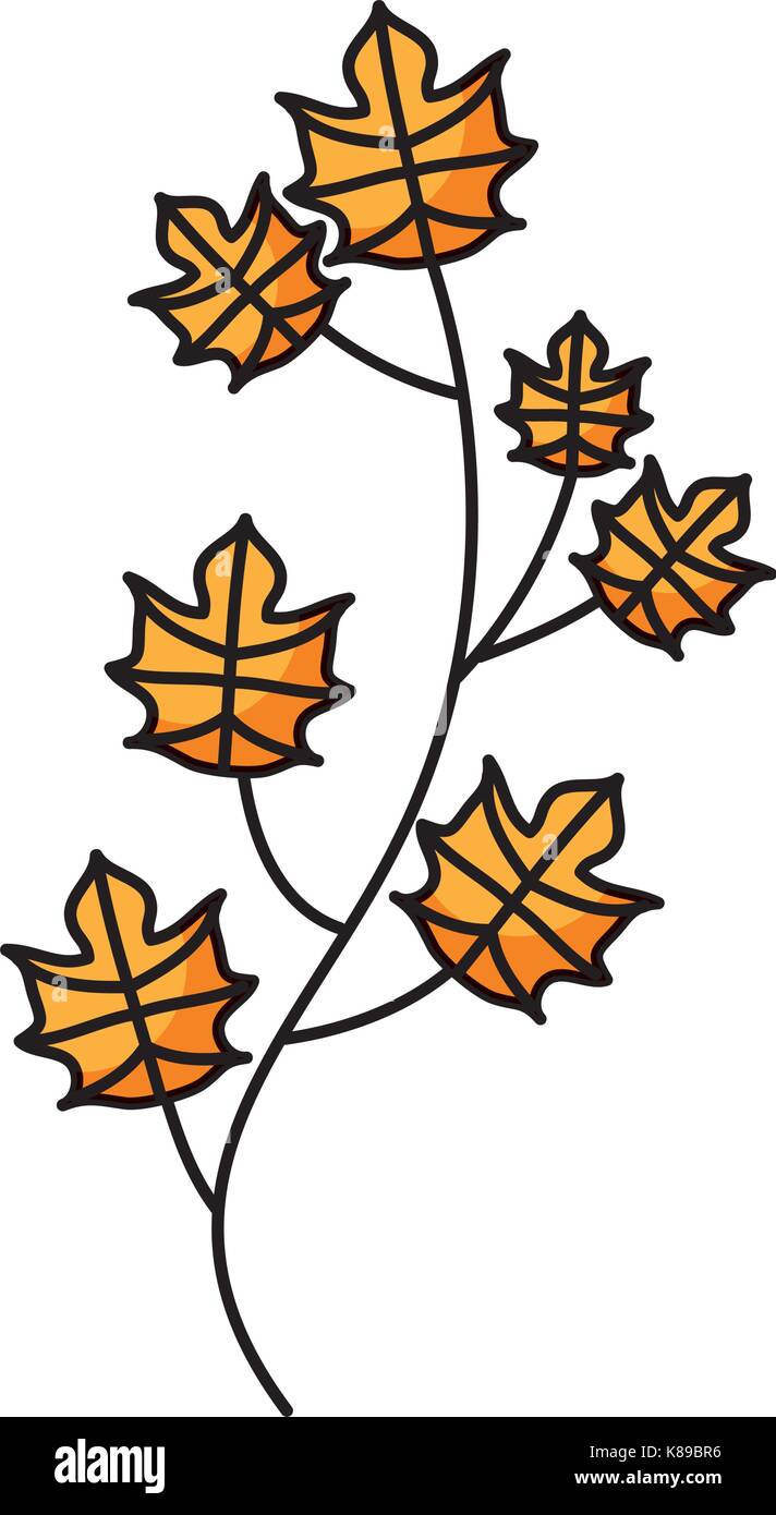 autumn tree branch leaves foliage botanical image Stock Vector Image ...