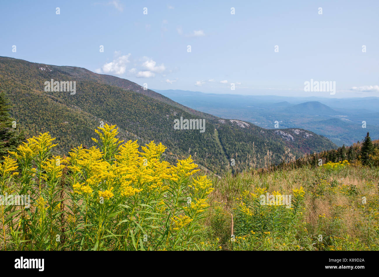 view of the Adirondack mountains from the summit of Little Whiteface in Wilmington NY Stock Photo