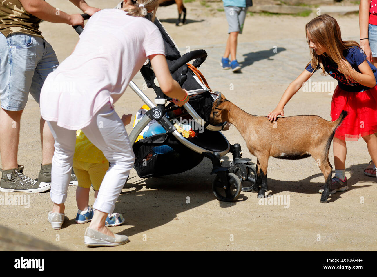 Zoo goer hires stock photography and images Alamy