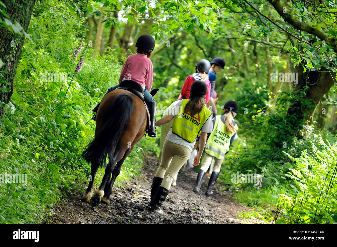Hacking horse road High Resolution Stock Photography and Images - Alamy