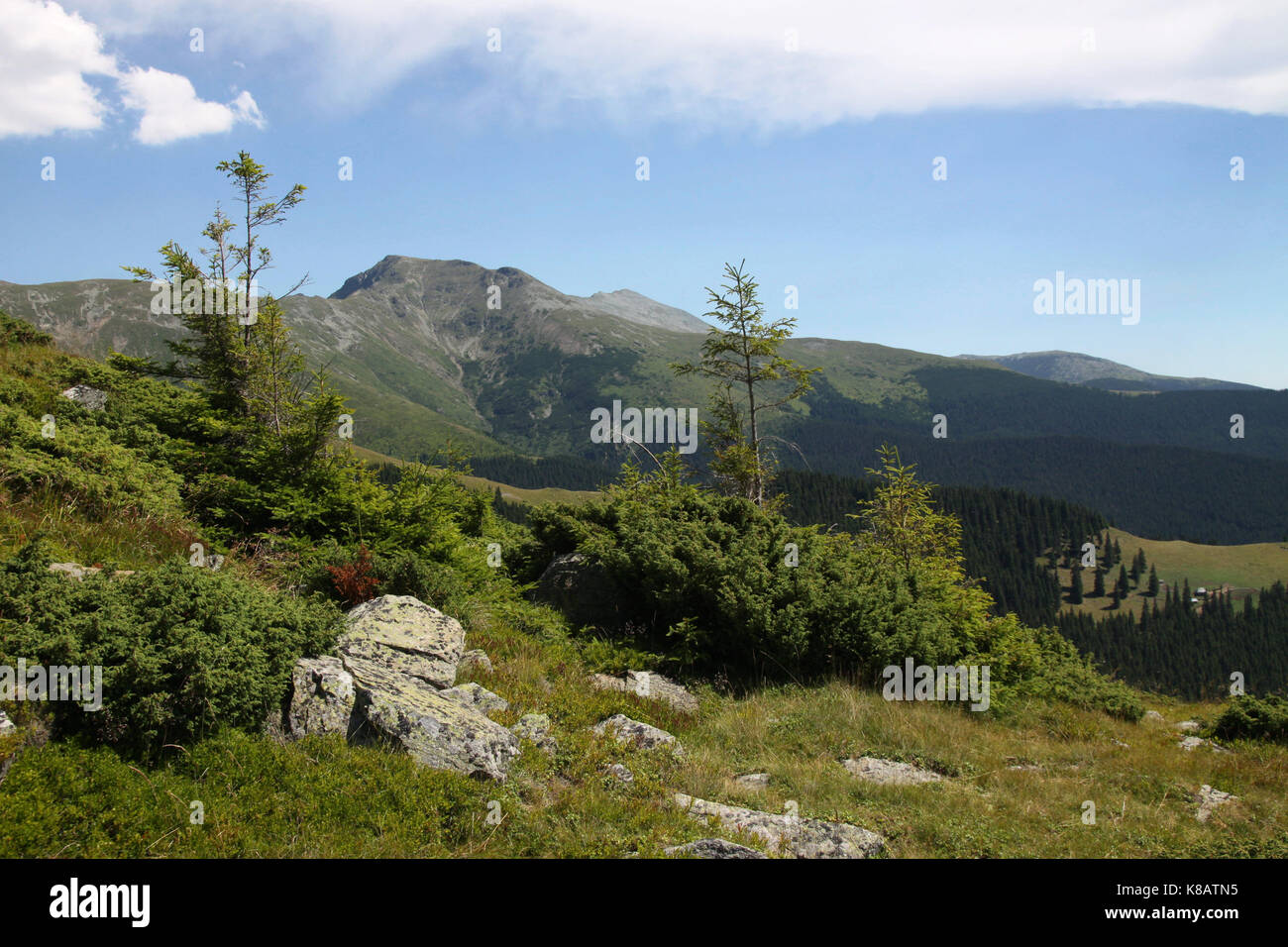 Summit Carja in the Parang Mountains, Southern Carpathians, Romania Stock Photo