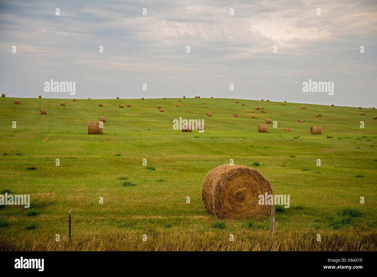 Hayes, South Dakota - Hay bales on a farm in Stanley County. Stock Photo
