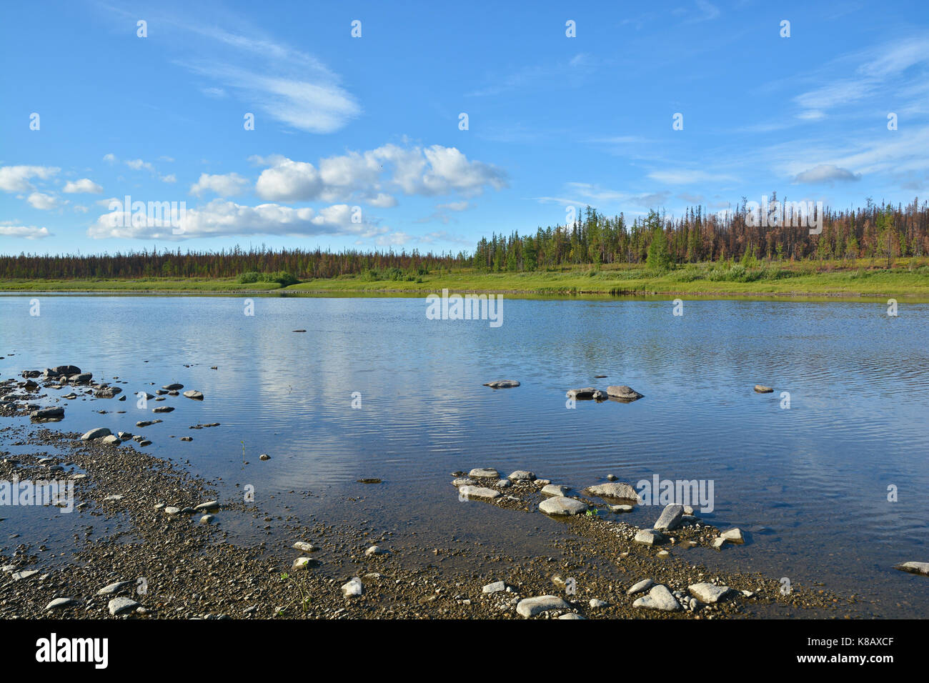 The Sob River in the Polar Urals. Northern water landscape. Stock Photo