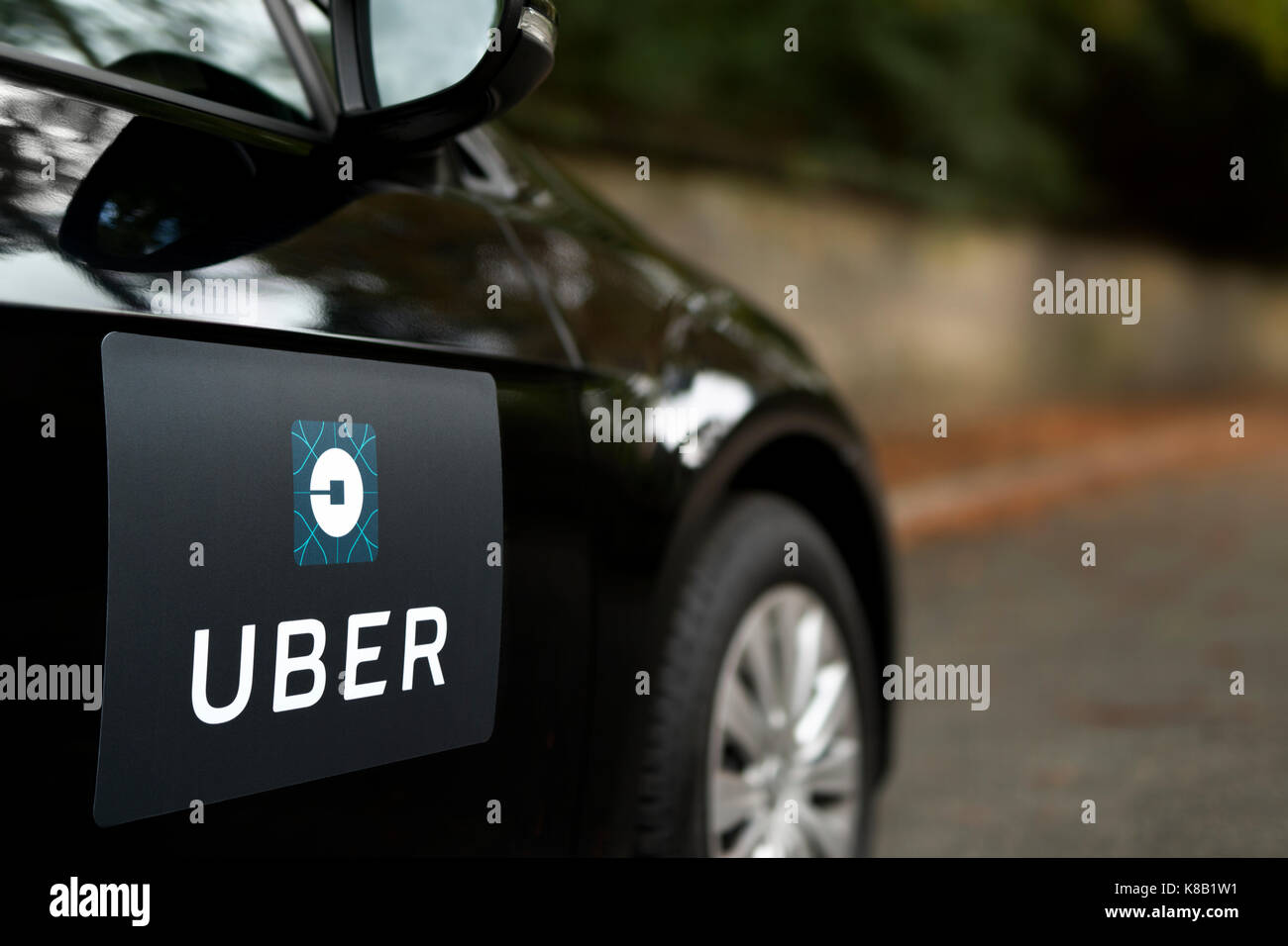 A black Volkswagen featuring the Uber logo is used as a taxi and also shows a driver in a leafy suburban street in the UK (Editorial use only). Stock Photo