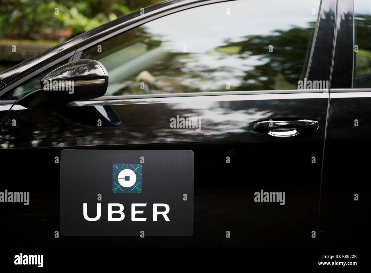 A black Volkswagen featuring the Uber logo is used as a taxi and also shows a driver in a leafy suburban street in the UK (Editorial use only). Stock Photo