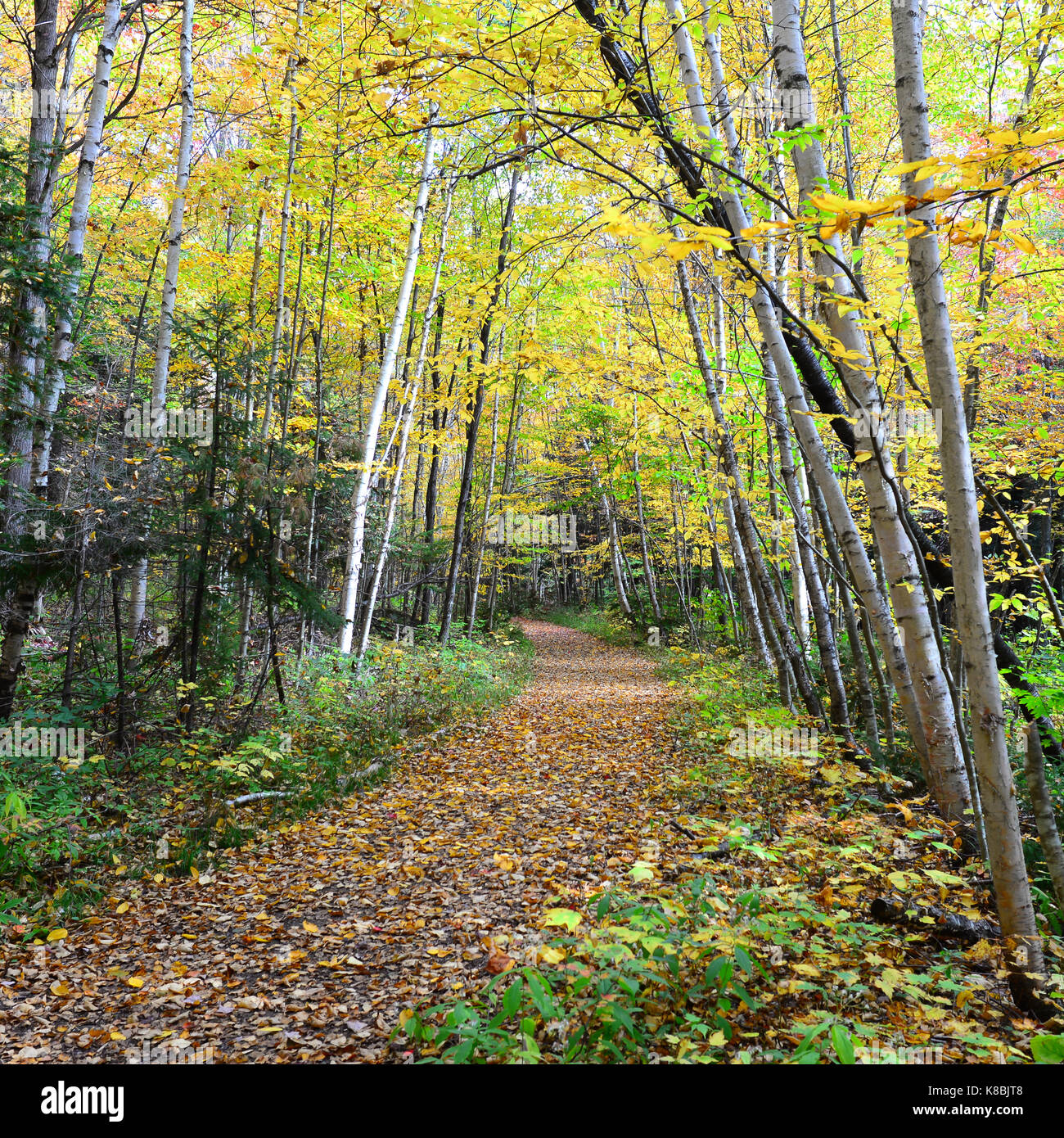 Adirondack park hires stock photography and images Alamy