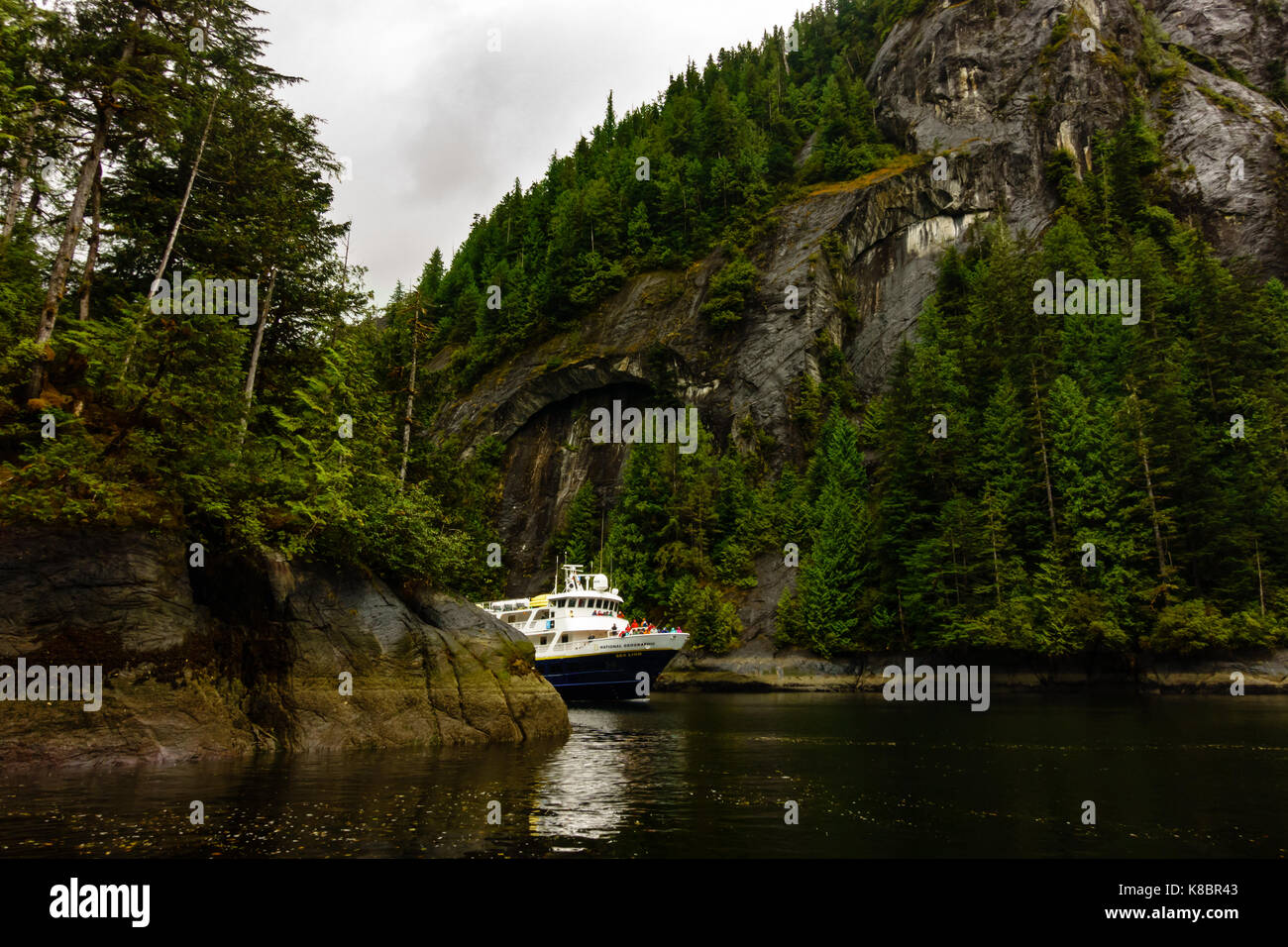 The National Geographic Sea Lion exploring Misty Fjords National Monument, Alaska, USA Stock Photo
