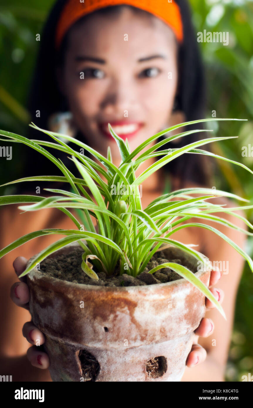 Asian exotic hires stock photography and images Alamy