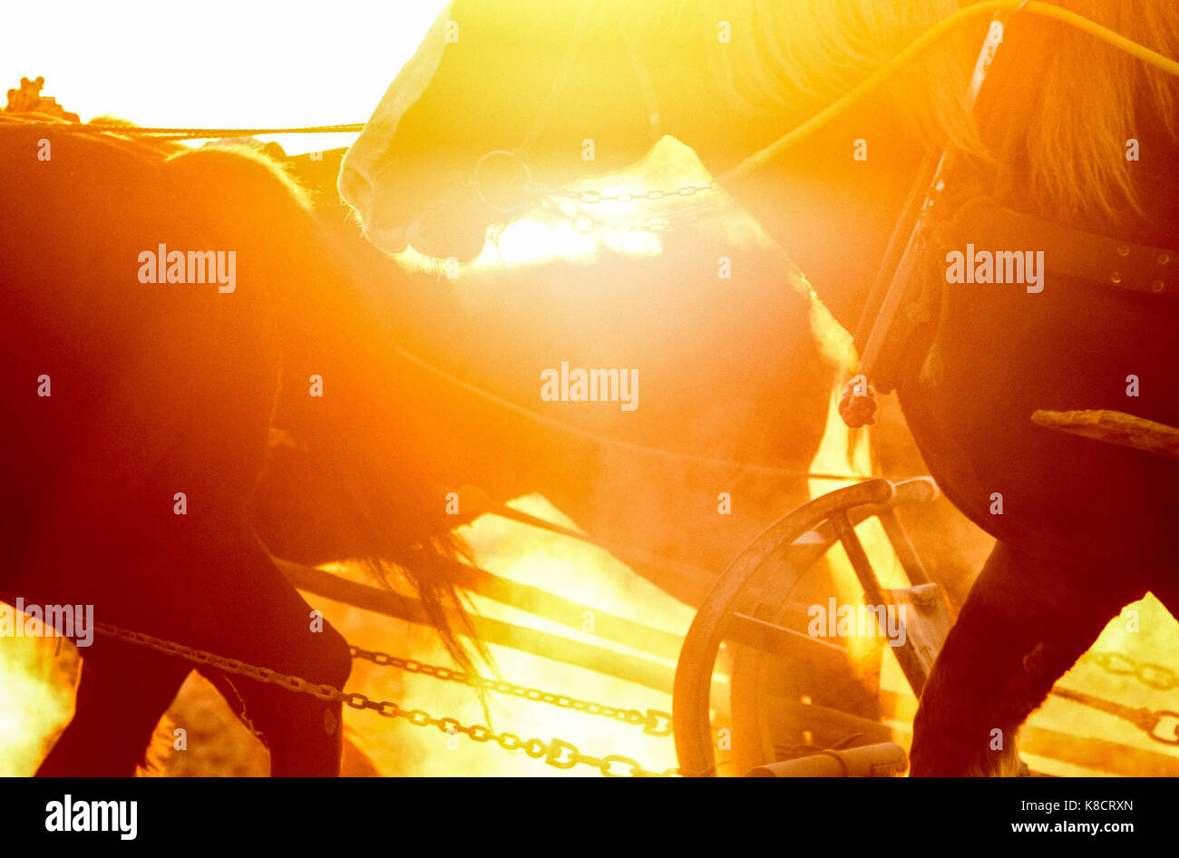2012 draft hi-res stock photography and images - Alamy