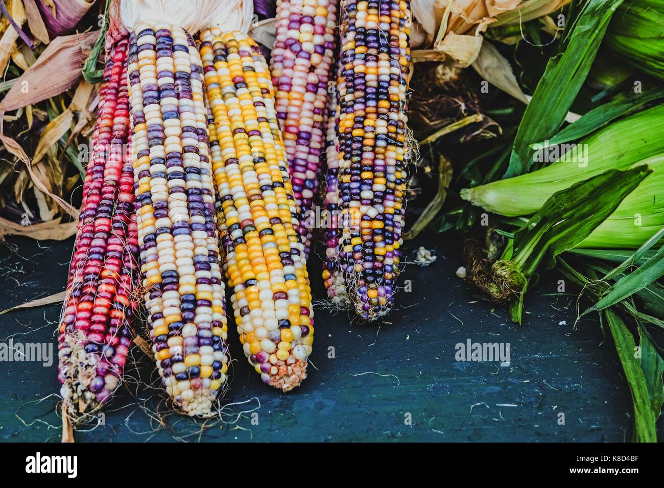 Multicolored Indian Corn at a fresh market Stock Photo