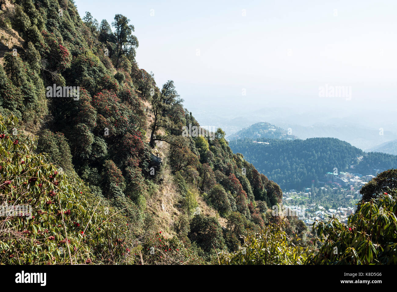 Triund hill track, Dharamshala, India Stock Photo