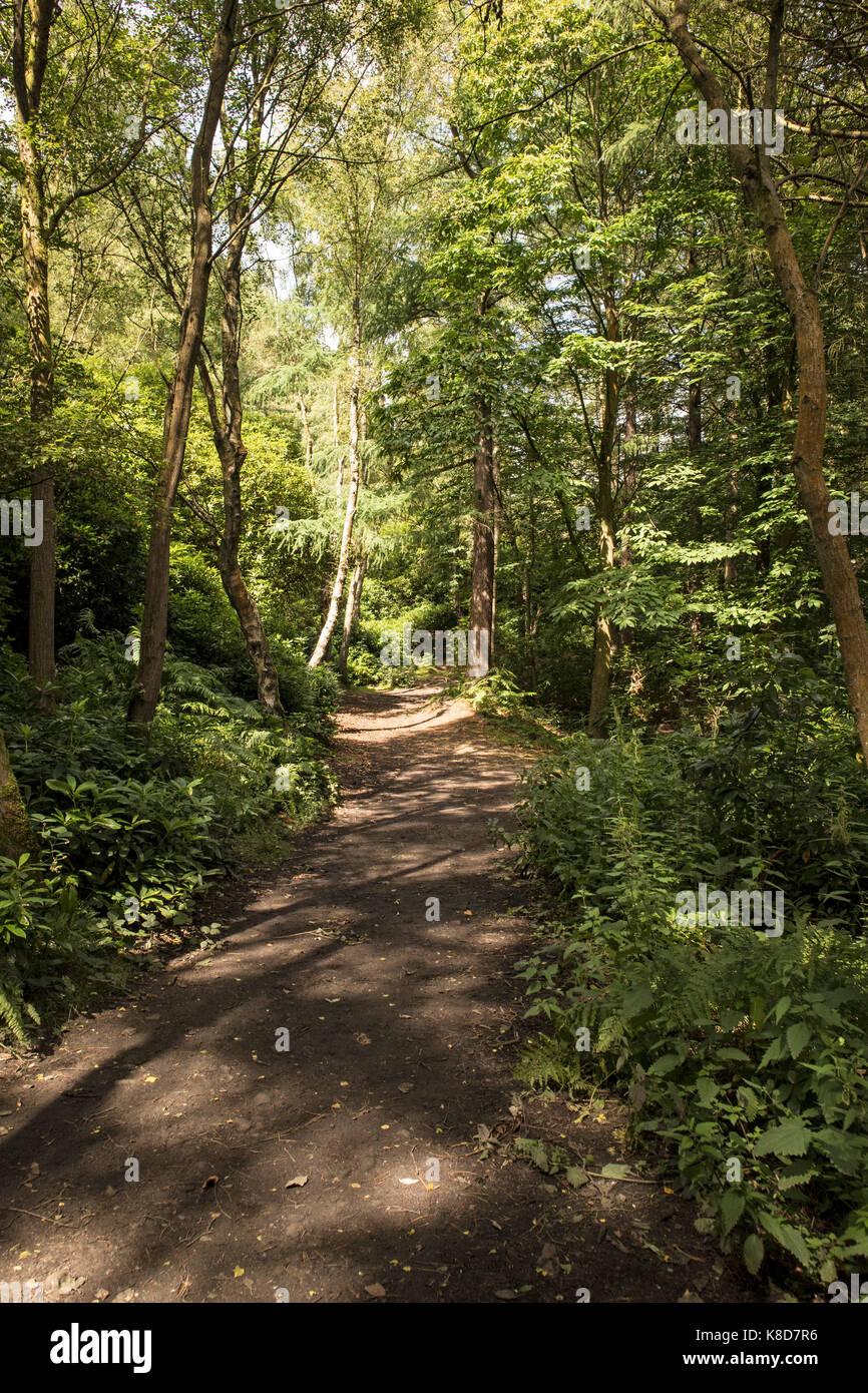 Harden bingley hires stock photography and images Alamy