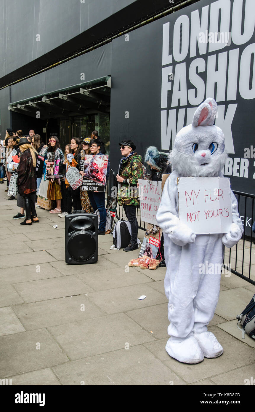 Bunny Rabbit Anti-Fur Protest Stock Photo