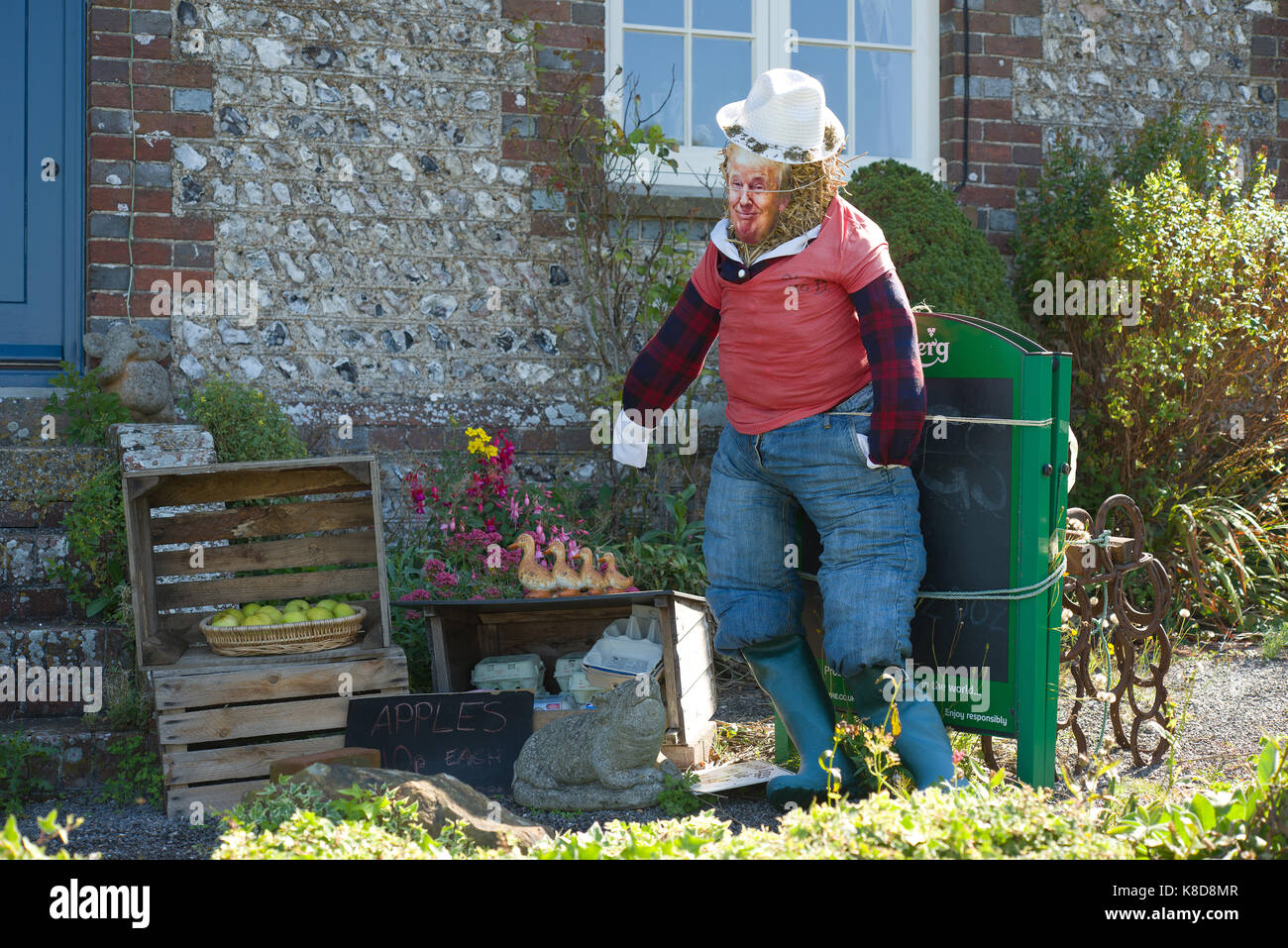 Scarecrow with Donald Trump mask Stock Photo