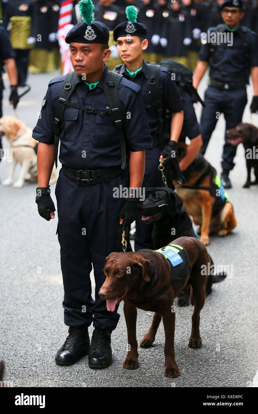 k9-units-hi-res-stock-photography-and-images-alamy