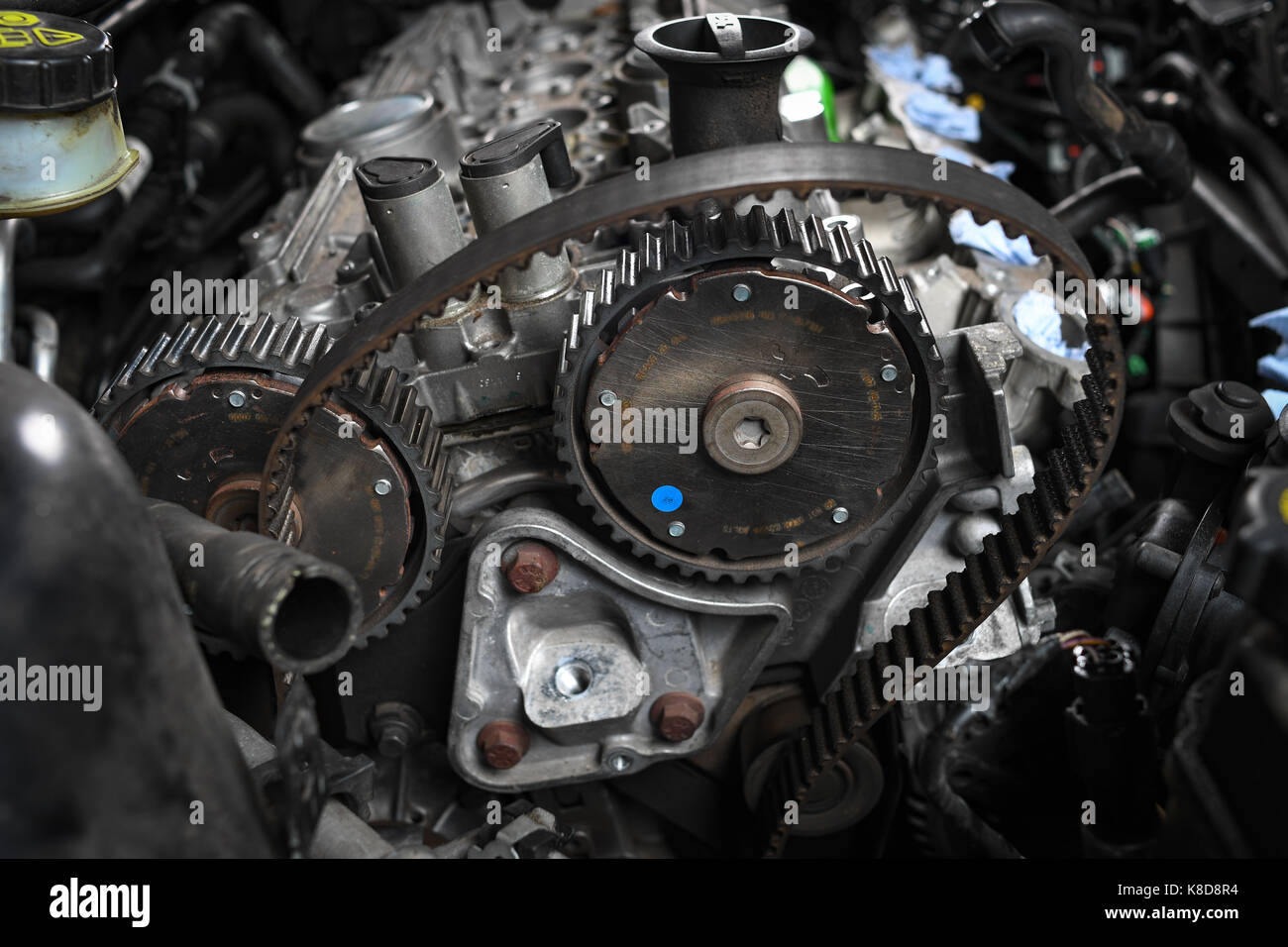 A cambelt being removed from a Ford RS focus Stock Photo