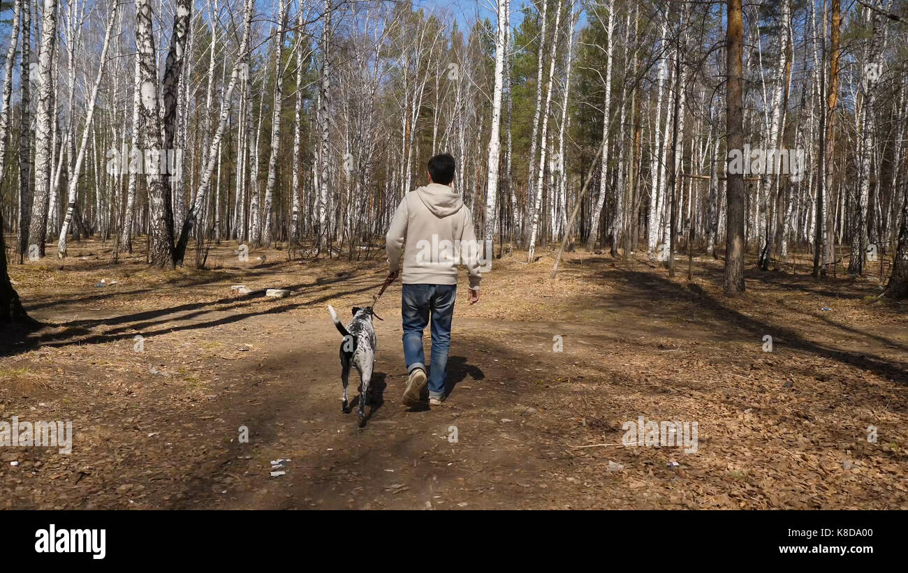 Man walks with dog in autumn park at sunny day. Man walking with a ...