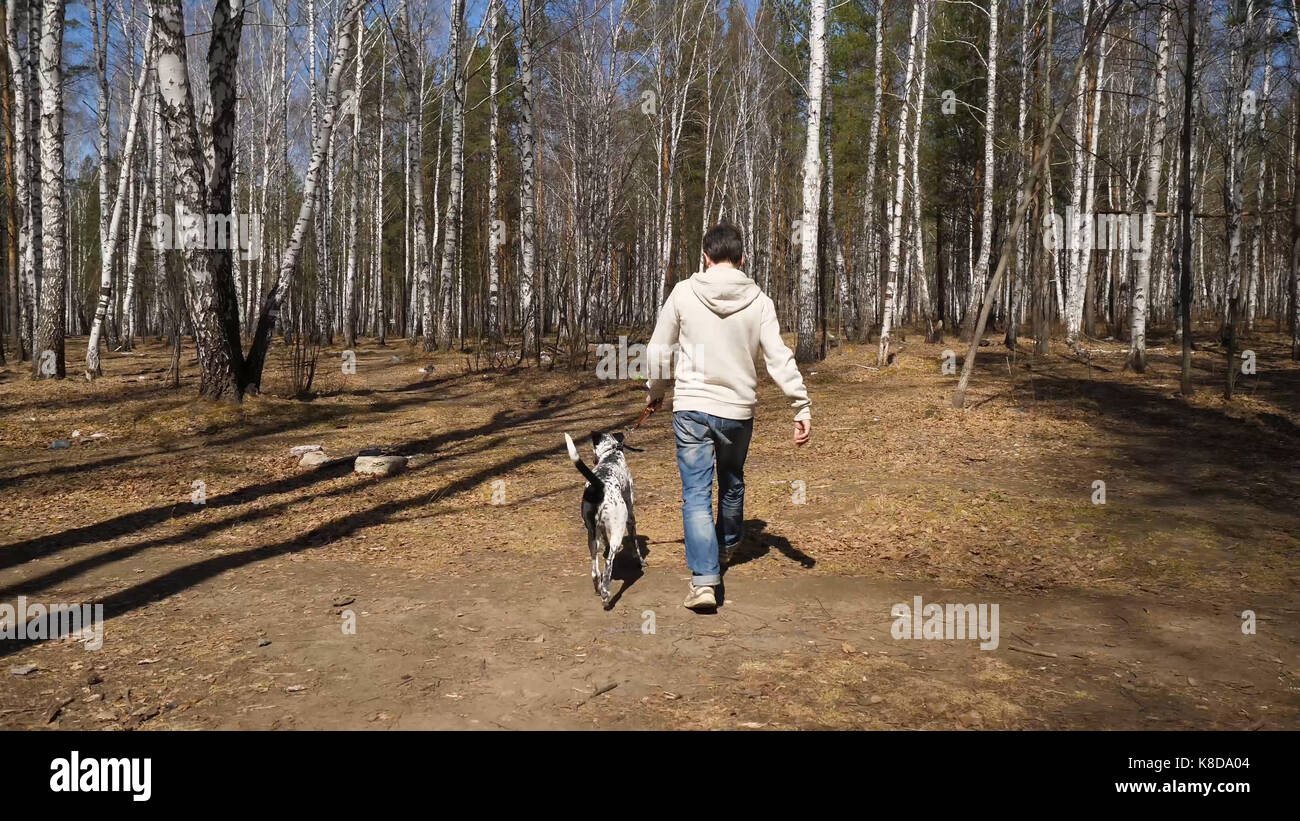 Man walks with dog in autumn park at sunny day. Man walking with a ...