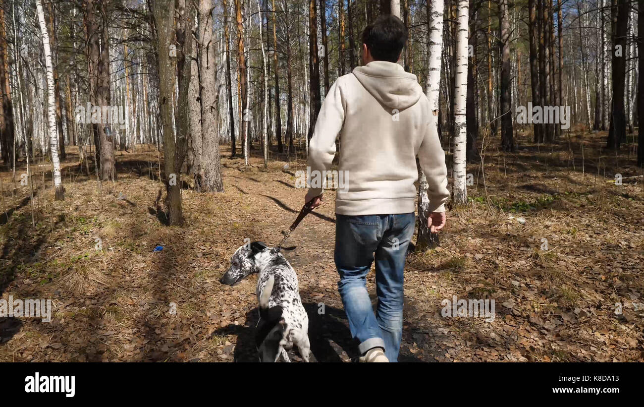 Man walks with dog in autumn park at sunny day. Man walking with a ...