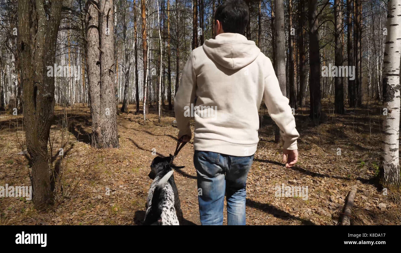 Man walks with dog in autumn park at sunny day. Man walking with a ...