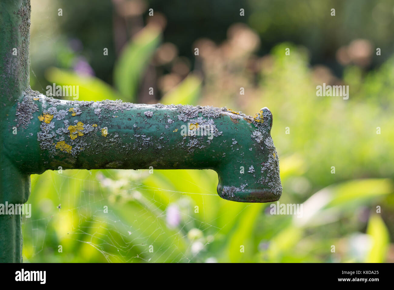 An old green rusty garden pump out of order in the garden from the side Stock Photo