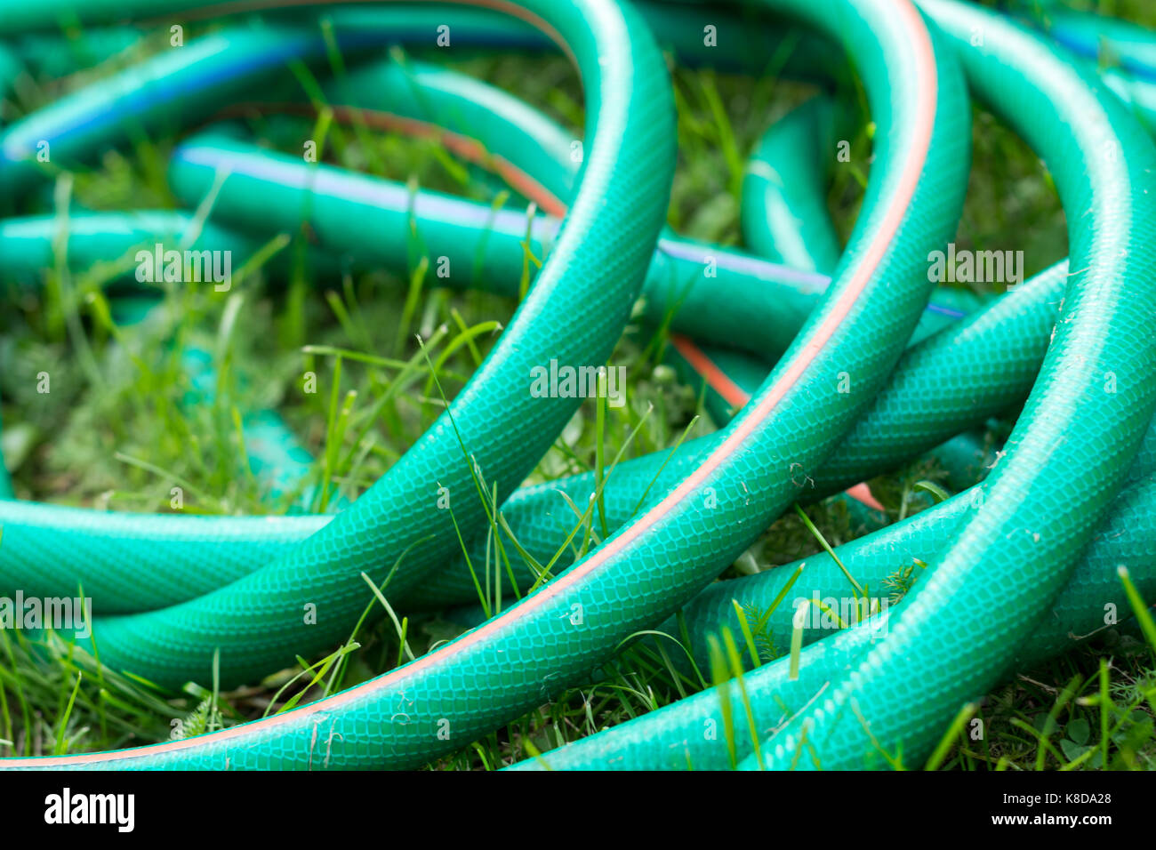 A green and orange hose for watering the garden close up Stock Photo