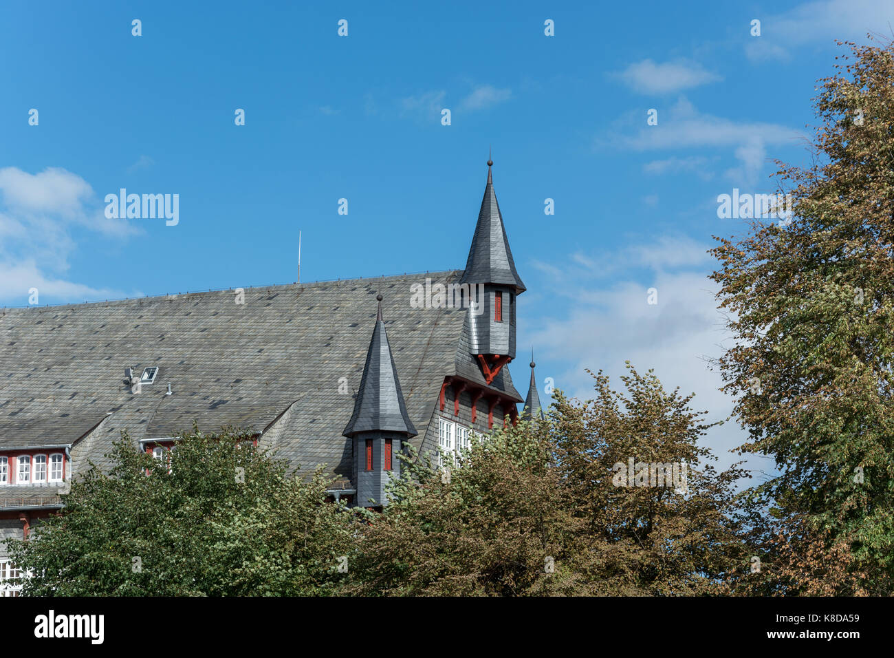 The town hall of the small German town Fritzlar with trees in the foreground Stock Photo