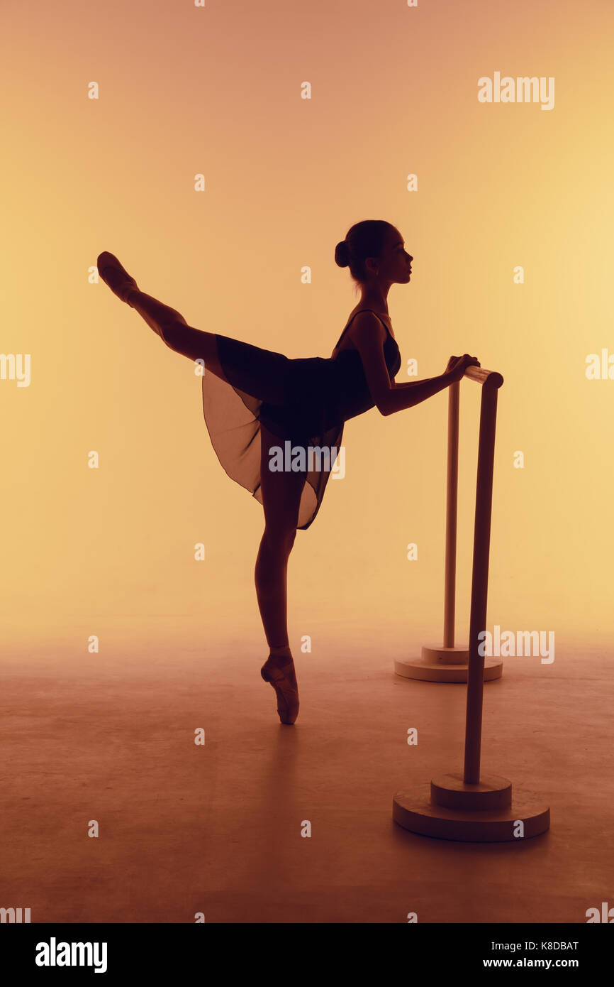 Ballerina Stretches Herself Near Barre at Ballet Studio, Full Length  Portrait, Performing Twine. Stock Image - Image of lifestyle, dance:  102180305