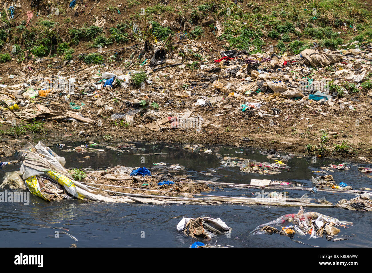 The Ngong river which is polluted with rubbish, plastic waste and