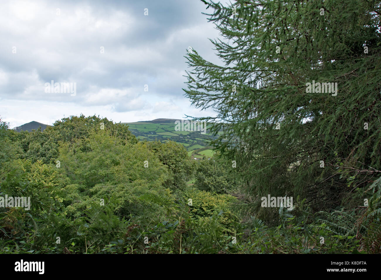 North Devon countryside Stock Photo - Alamy