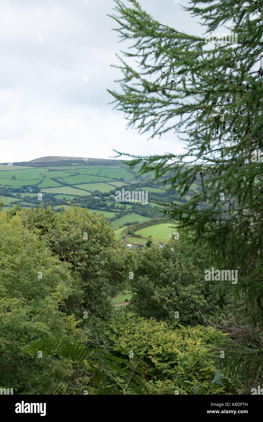 Countryside around Combe Martin, North Devon Stock Photo - Alamy