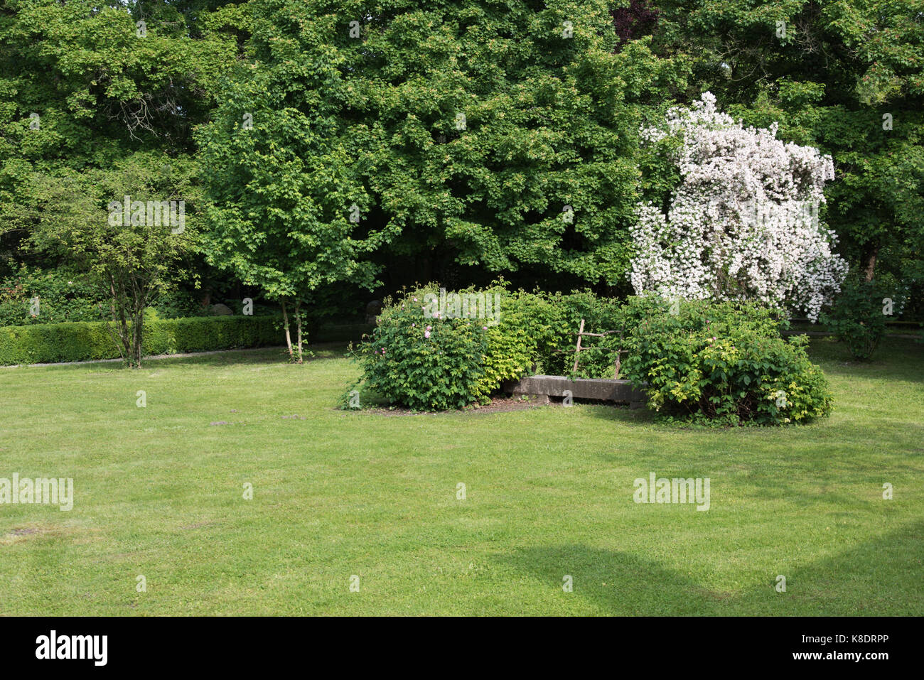 Garden, between plants and flowers Stock Photo - Alamy