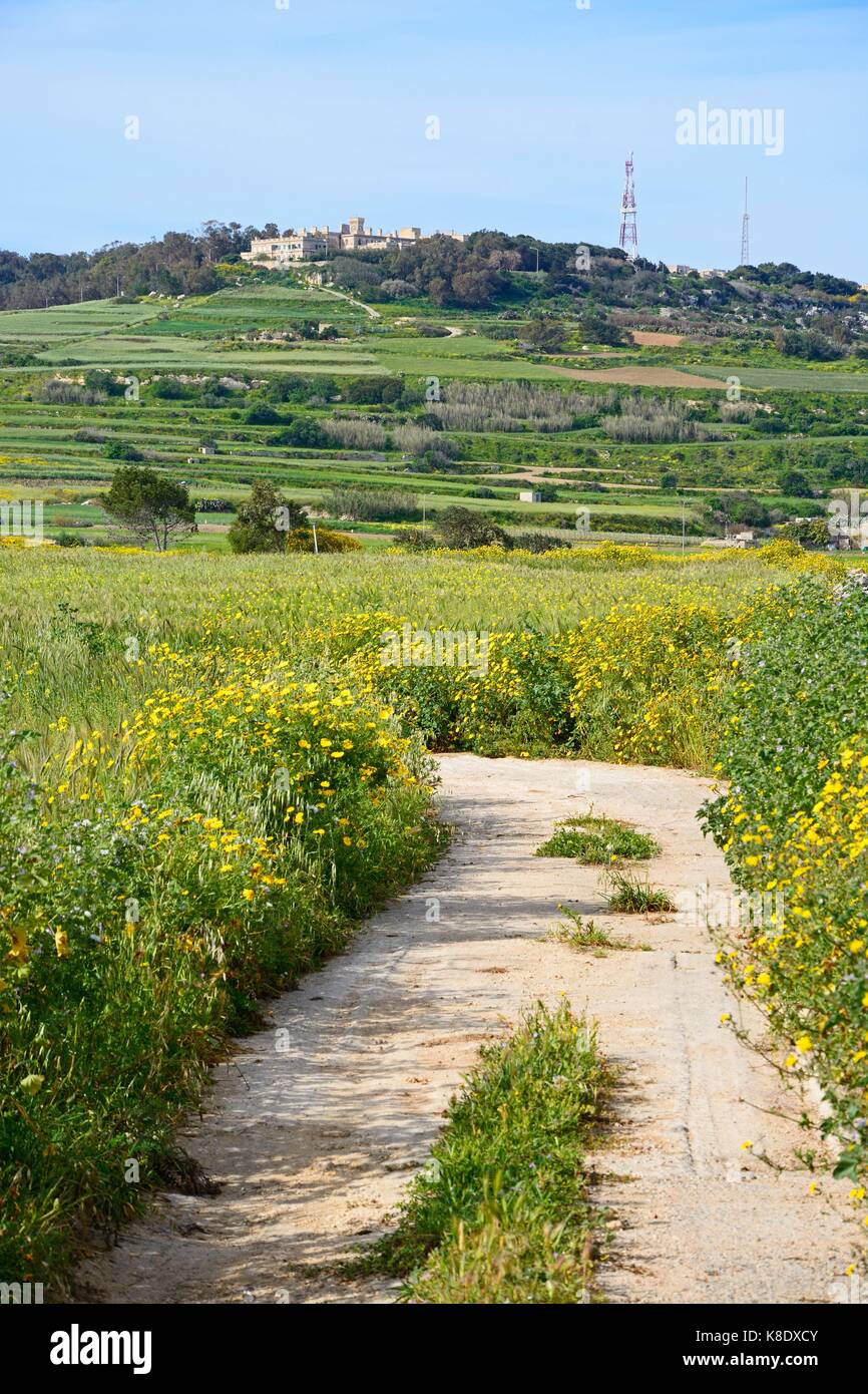 Fields agriculture malta hires stock photography and images Alamy