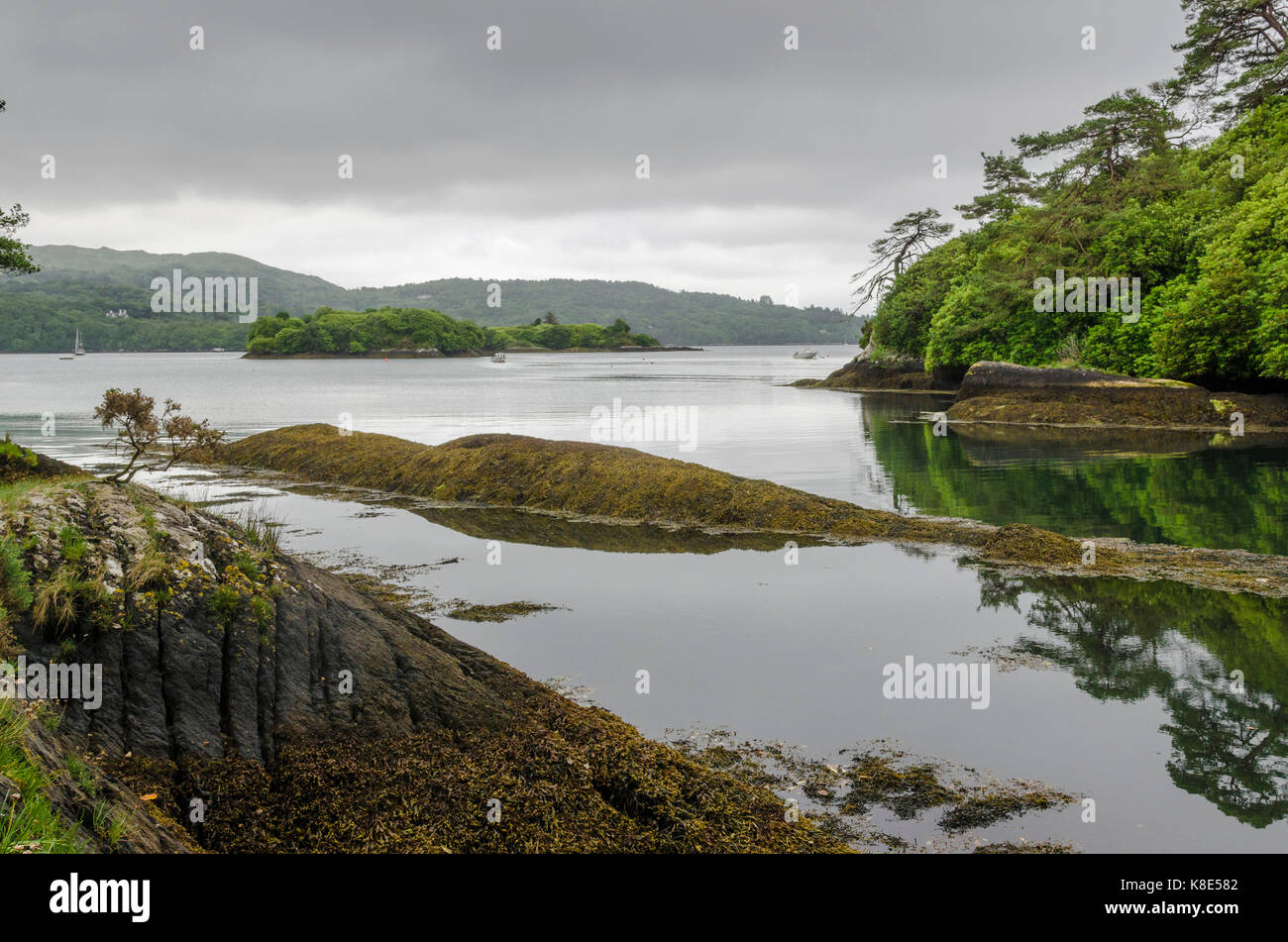 Ireland, Atlantic coast with Glengarriff, Irland, Atlantikküste bei Glengarriff Stock Photo