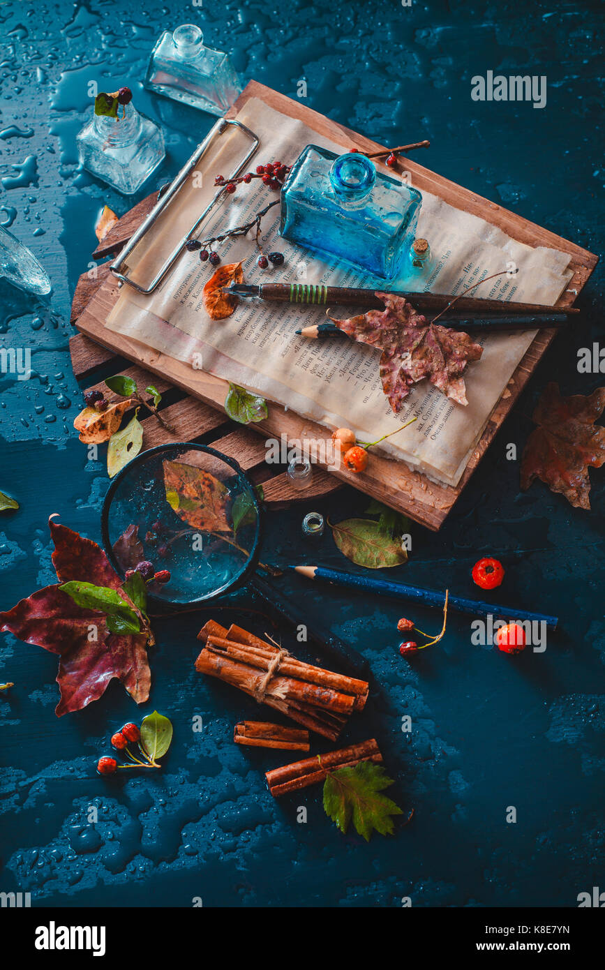 Dark autumn still life with rain, book pages, inwell, leaves, berries and cinnamon on a wet background Stock Photo