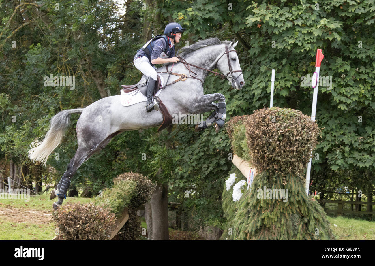 Tom McEwen on STRIKE SMARTLY, SsangYong Blenheim Palace International Horse Trials 16th September 2017 Stock Photo