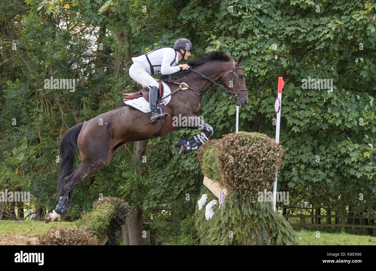 Sidney Dufresne on SWING DE PERDRIAT, SsangYong Blenheim Palace International Horse Trials 16th September 2017 Stock Photo