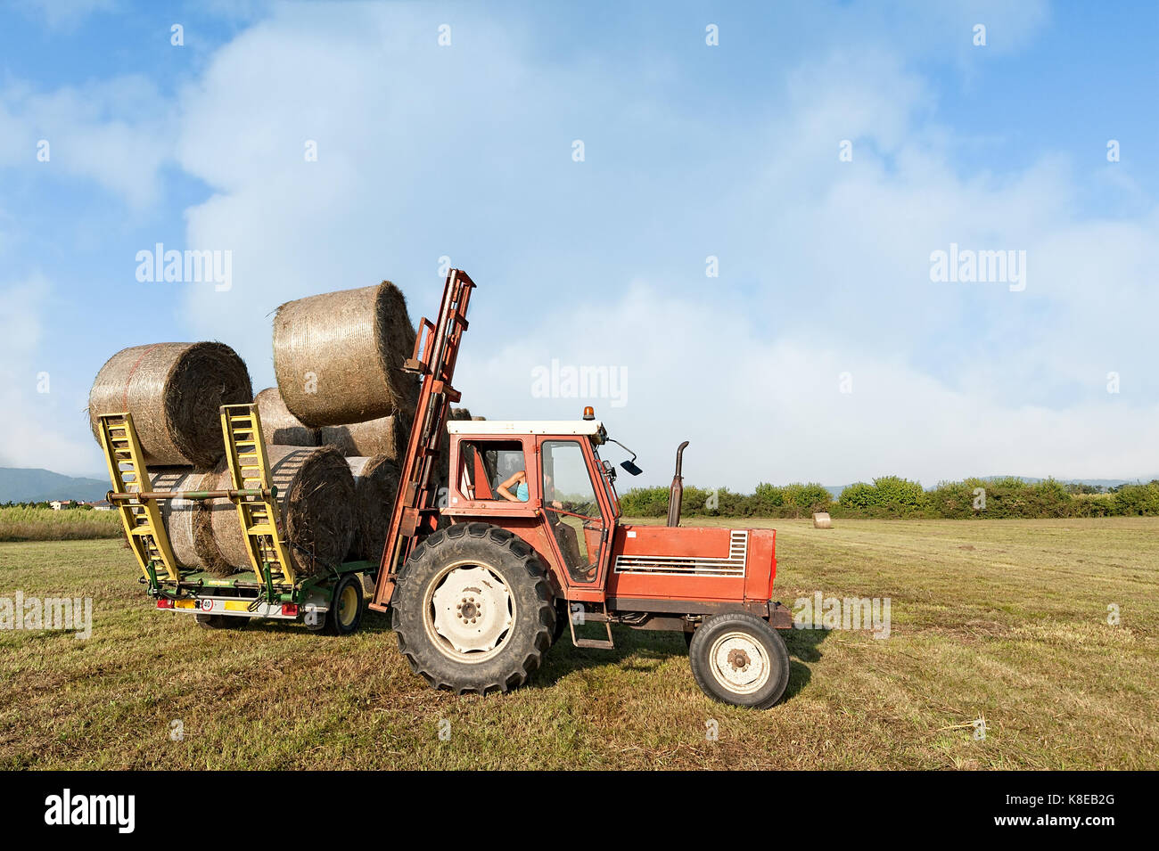 Agricultural scene. Tractor collecting hay bales in field and loading on farm wagon. Stock Photo