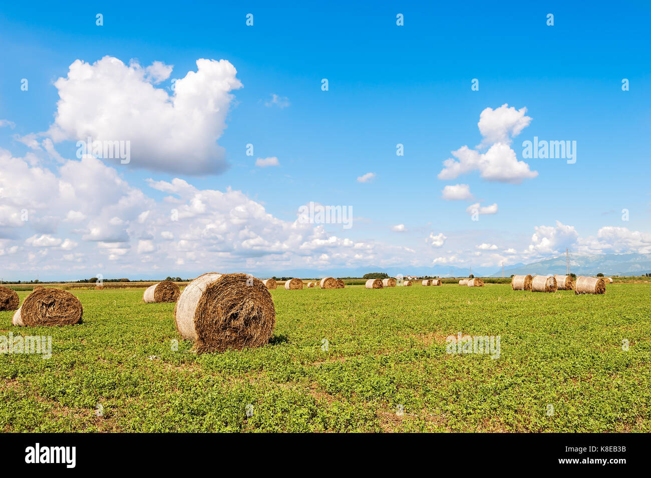 Round hay bales in harvested field and blue sky with clouds ...
