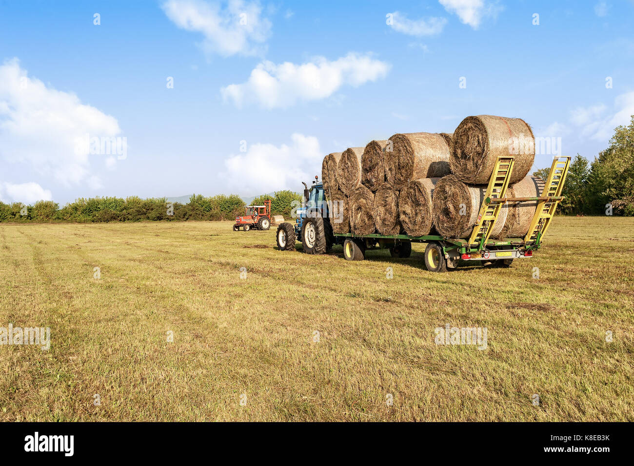 Agricultural scene. Tractor collecting hay bales in field and loading on farm wagon. Stock Photo