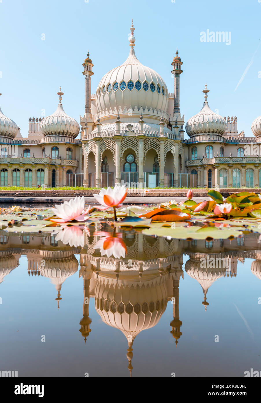 Water lilies in a pond in front of Royal Pavilion Palace, Mirroring, Brighton, East Sussex, England, Great Britain Stock Photo