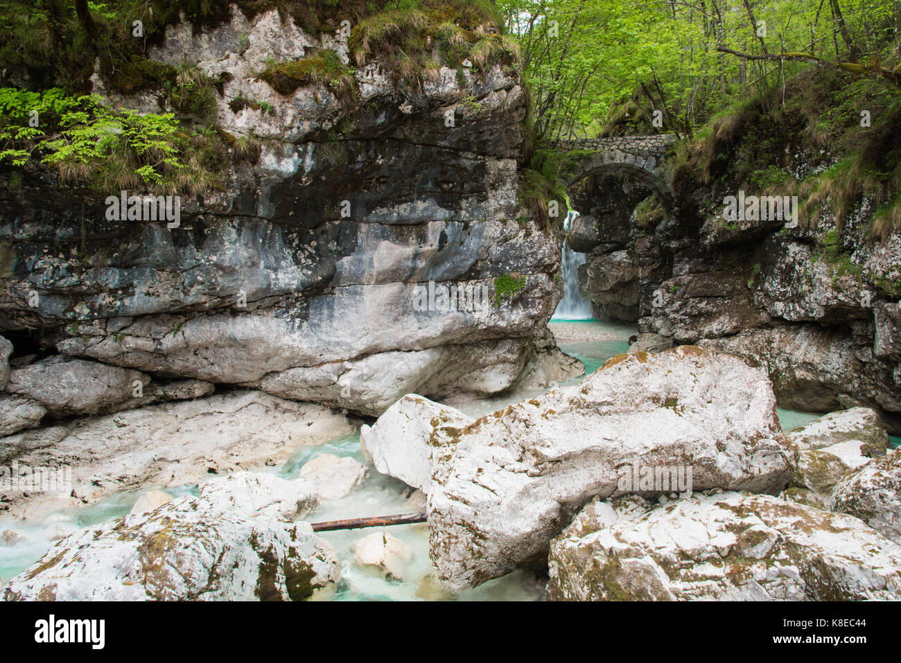 Crystalline water in the creek Stock Photo Alamy