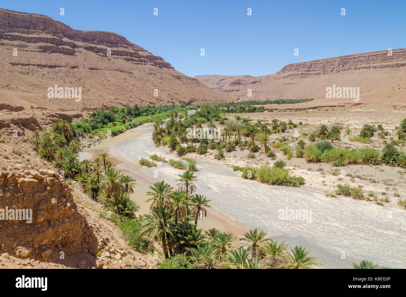 Palm lined dry river bed with red orange mountains in Morocco, North Africa. Stock Photo