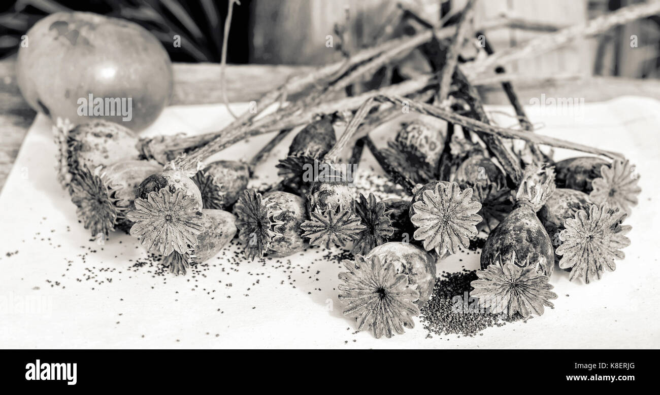 Poppy seeds and boxes in black and white Stock Photo