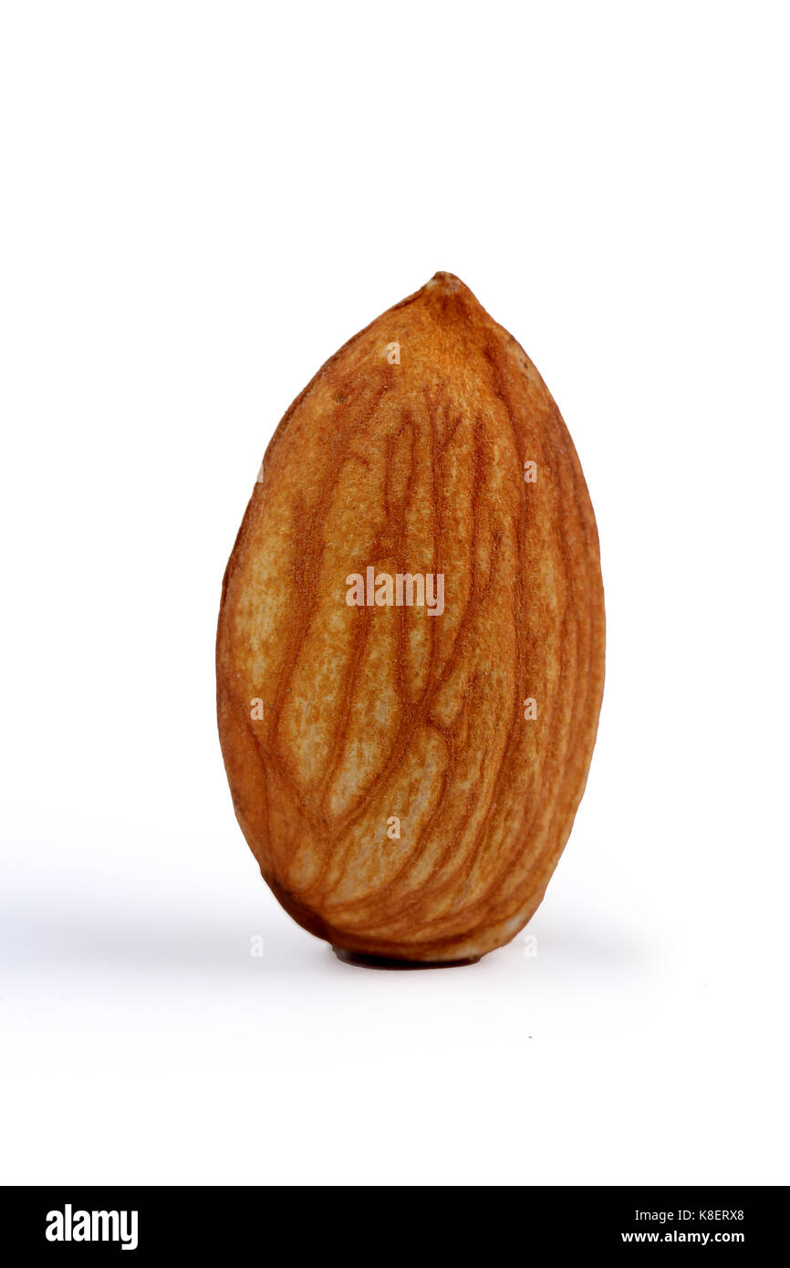 almonds, almonds in white Stock Photo Alamy