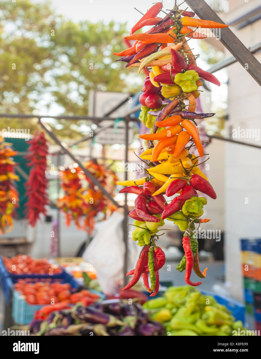 Bunches of chillis for sale at a street market stall, Spain. Stock Photo