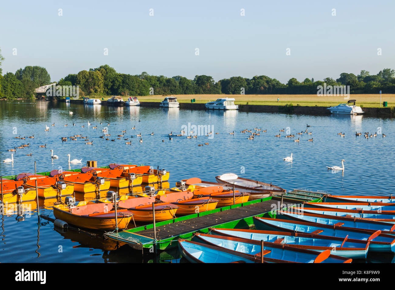 England, Berkshire, Windsor, Rowing Boats Stock Photo Alamy